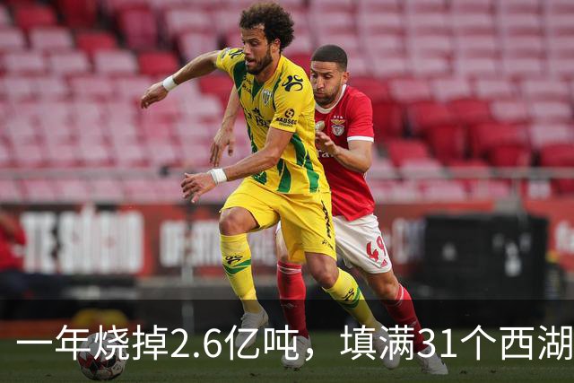 一年烧掉2.6亿吨，填满31个西湖！中国的垃圾，不够烧了？